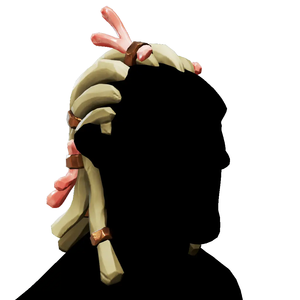 coiffure_identifiee_des_coquillages_funestes
