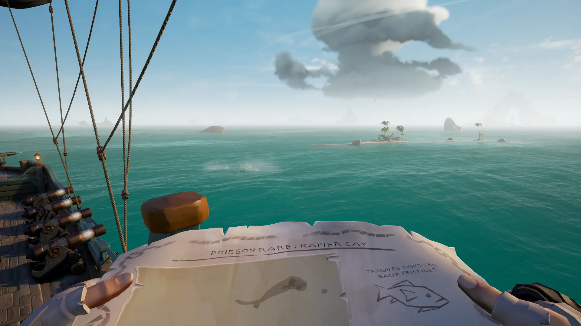 L'Appel du chasseur, le guide complet : vue sur 1 banc de poissons magnifiques au large de Rapier Cay