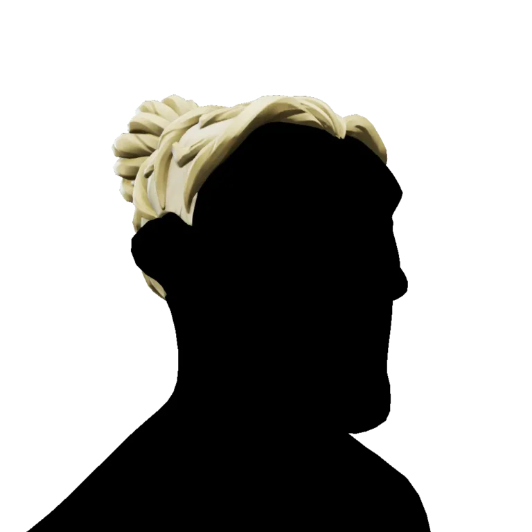 Coiffure chignon du venin d’araignée