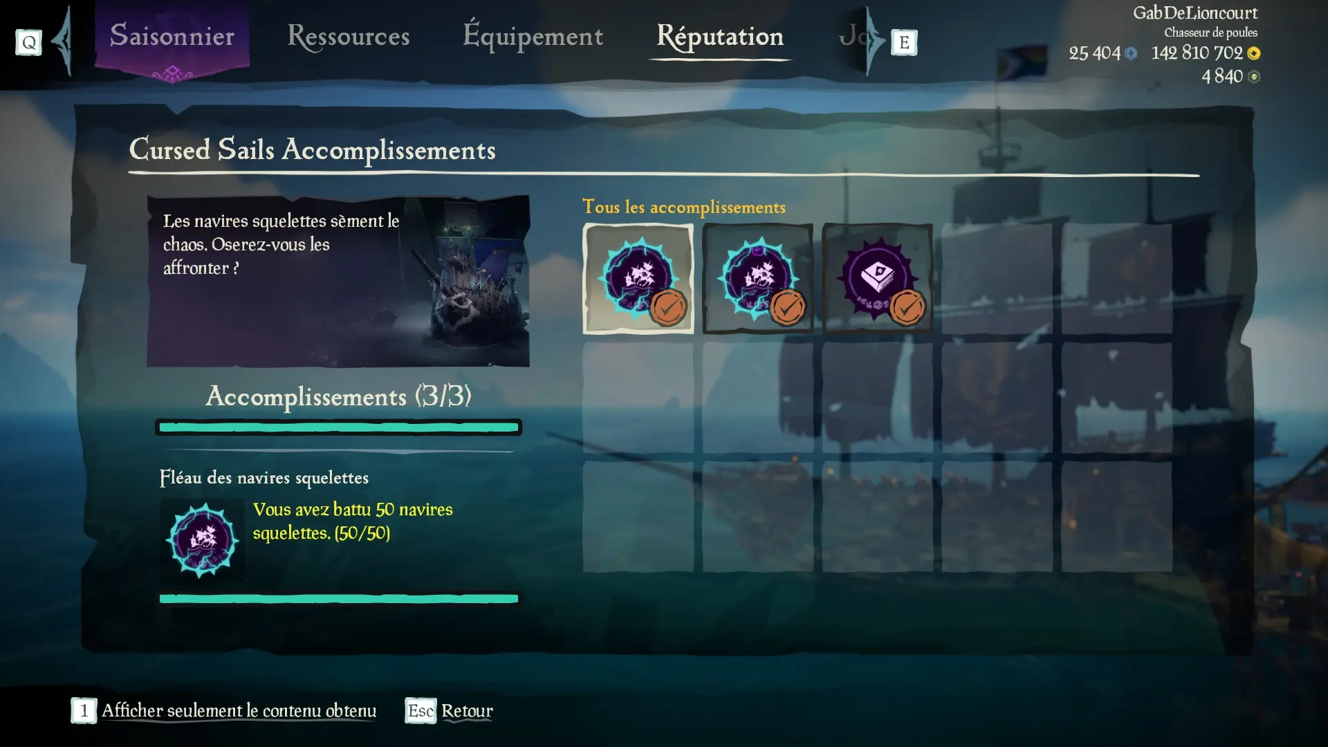 Capture d’un profil pirate complet pour la sous-catégorie Cursed Sails des Aventures en Mer