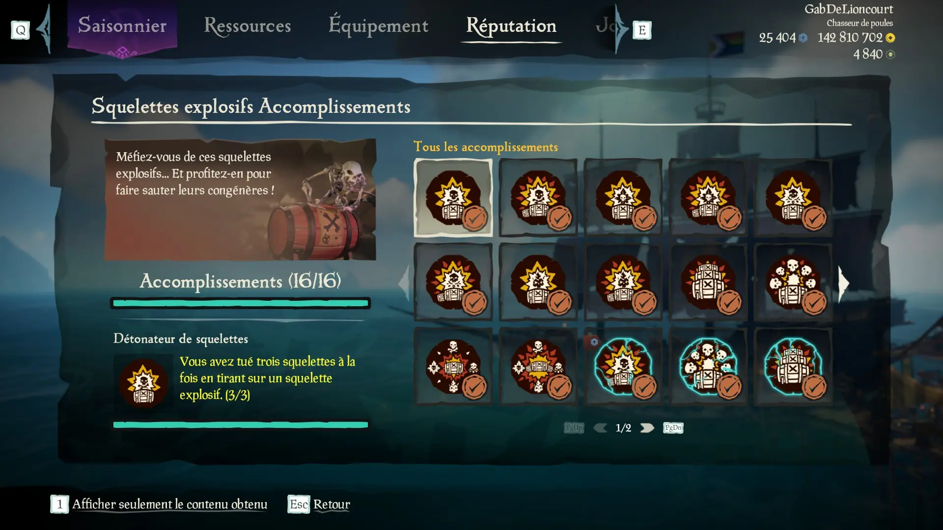Capture d’un profil pirate complet pour la sous-catégorie Squelettes explosifs des Aventures en Mer
