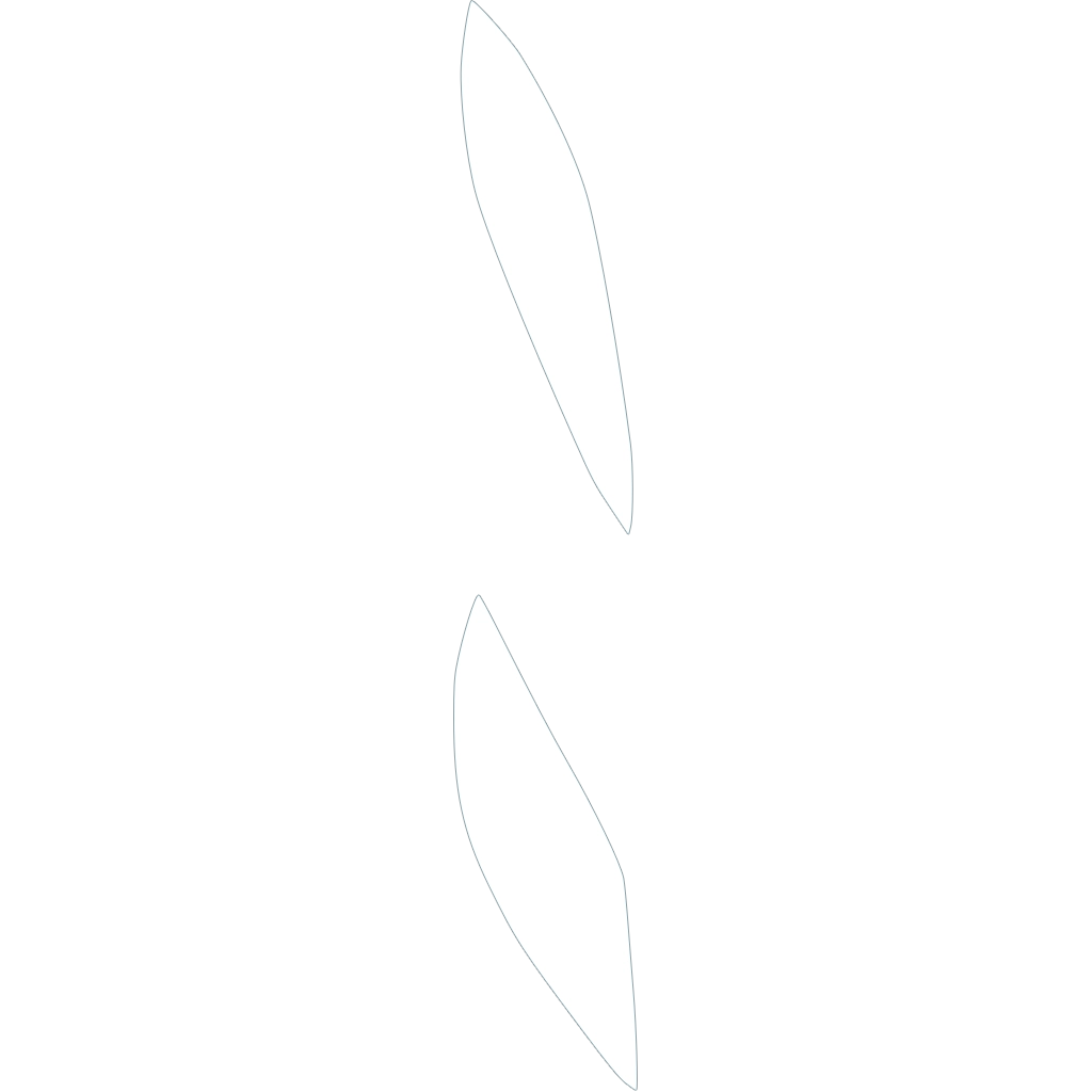 rune squelette 2