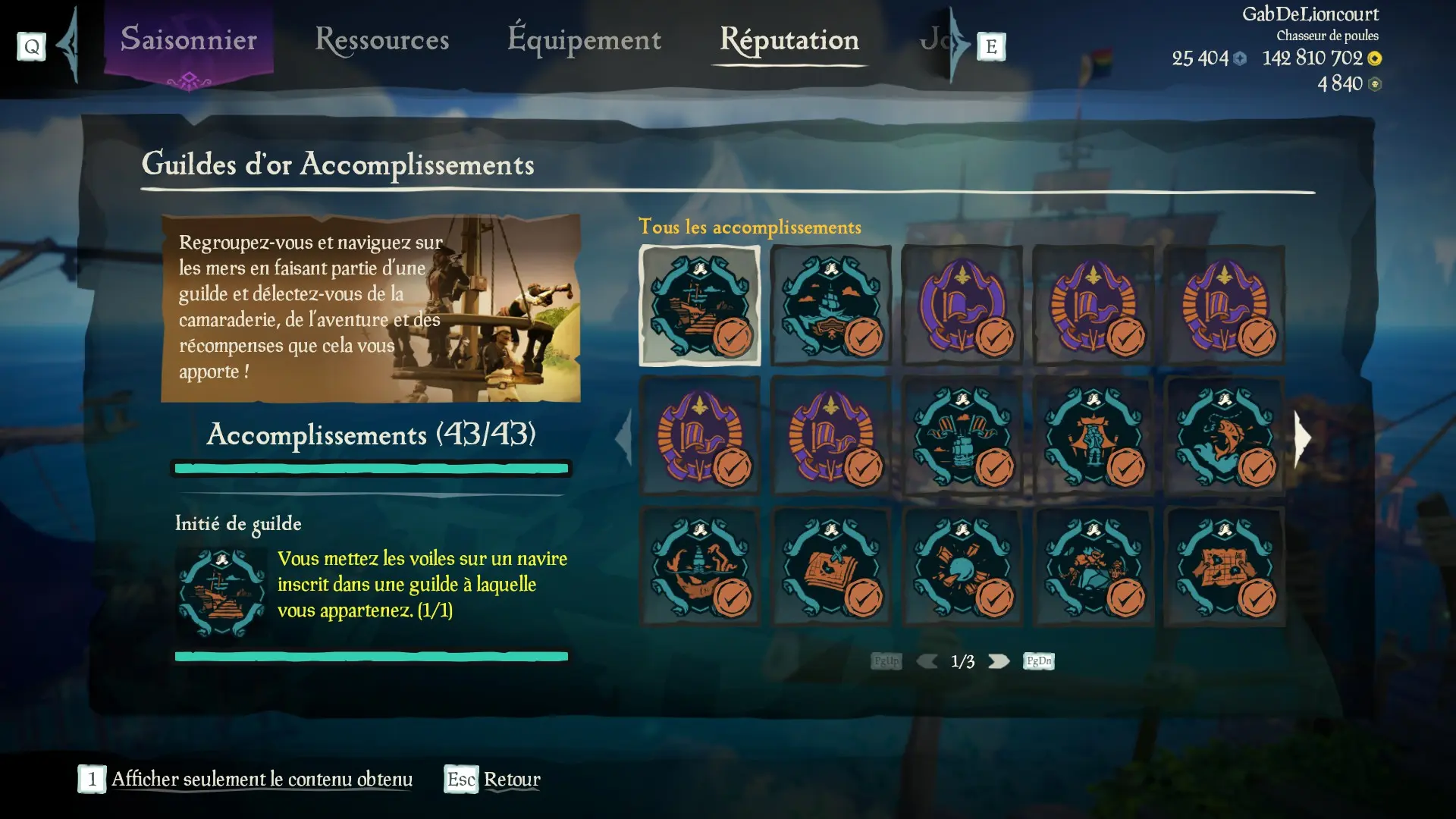 Capture d’un profil pirate complet pour la sous-catégorie Guildes d’or des Aventures en Mer