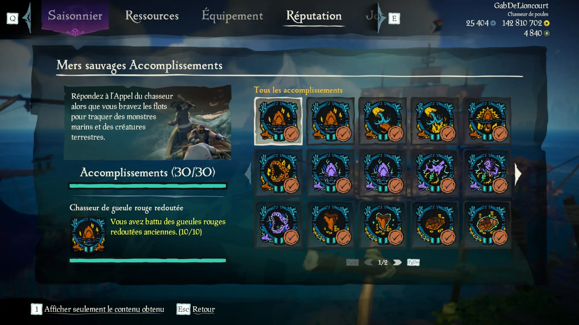 Capture d’un profil pirate complet pour la sous-catégorie Mers sauvages des Aventures en Mer