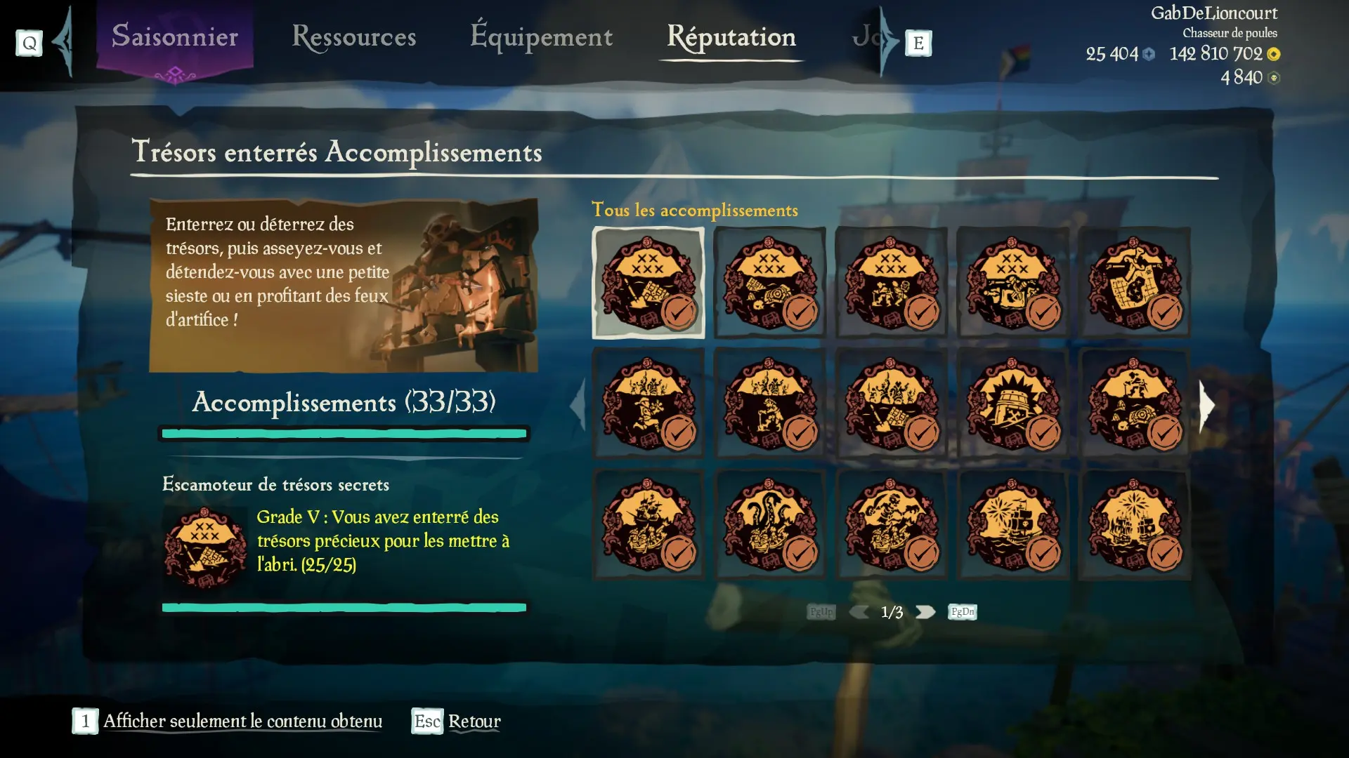 Capture d’un profil pirate complet pour la sous-catégorie Trésors enterrés des Aventures en Mer