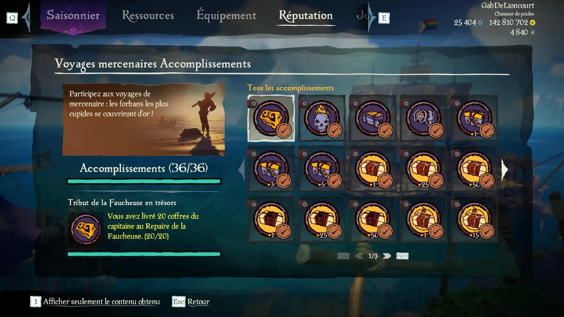 Capture d’un profil pirate complet pour la sous-catégorie Voyages mercenaires des Aventures en Mer