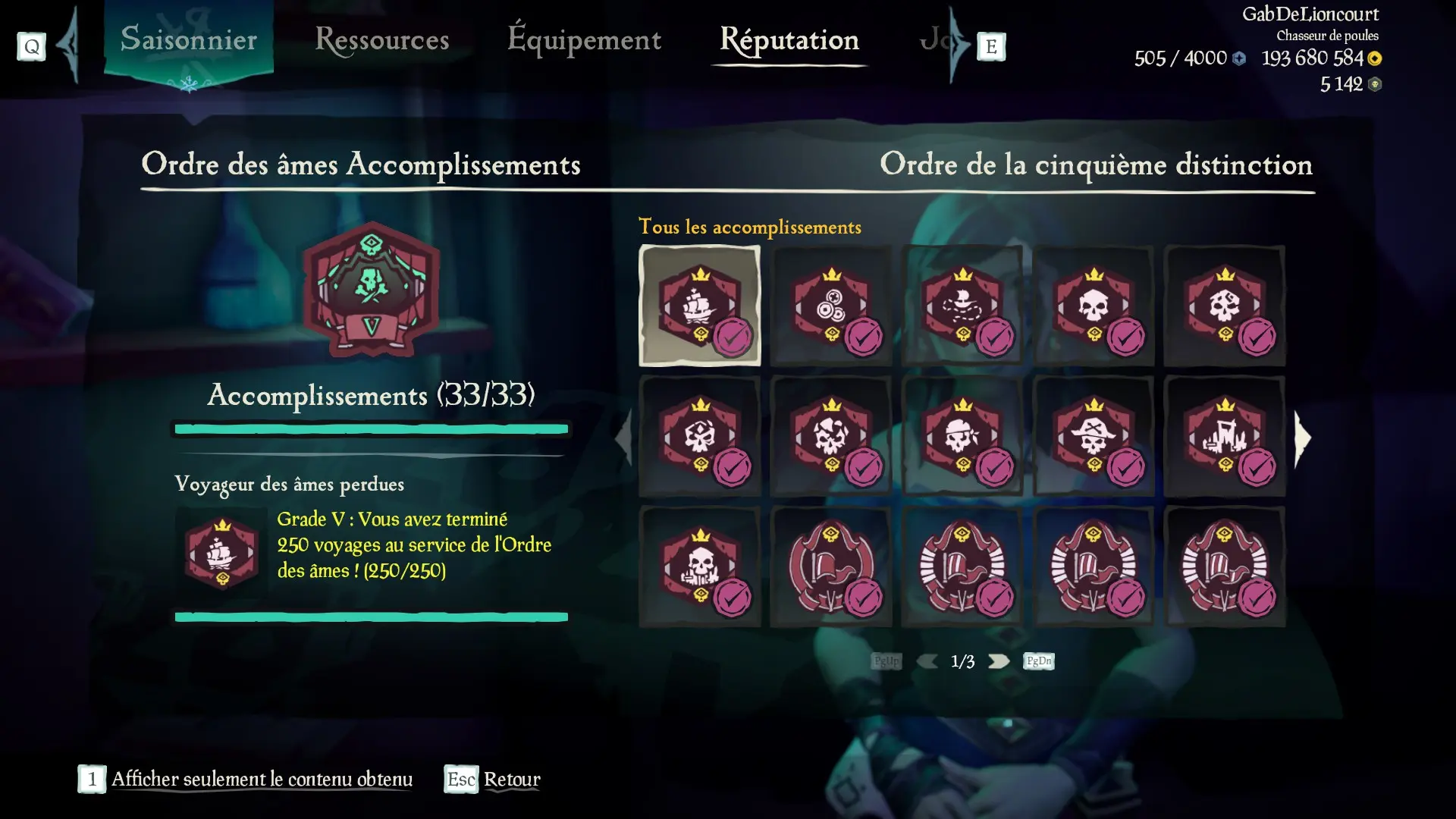 Capture d’un profil pirate complétiste pour l'Ordre des âmes