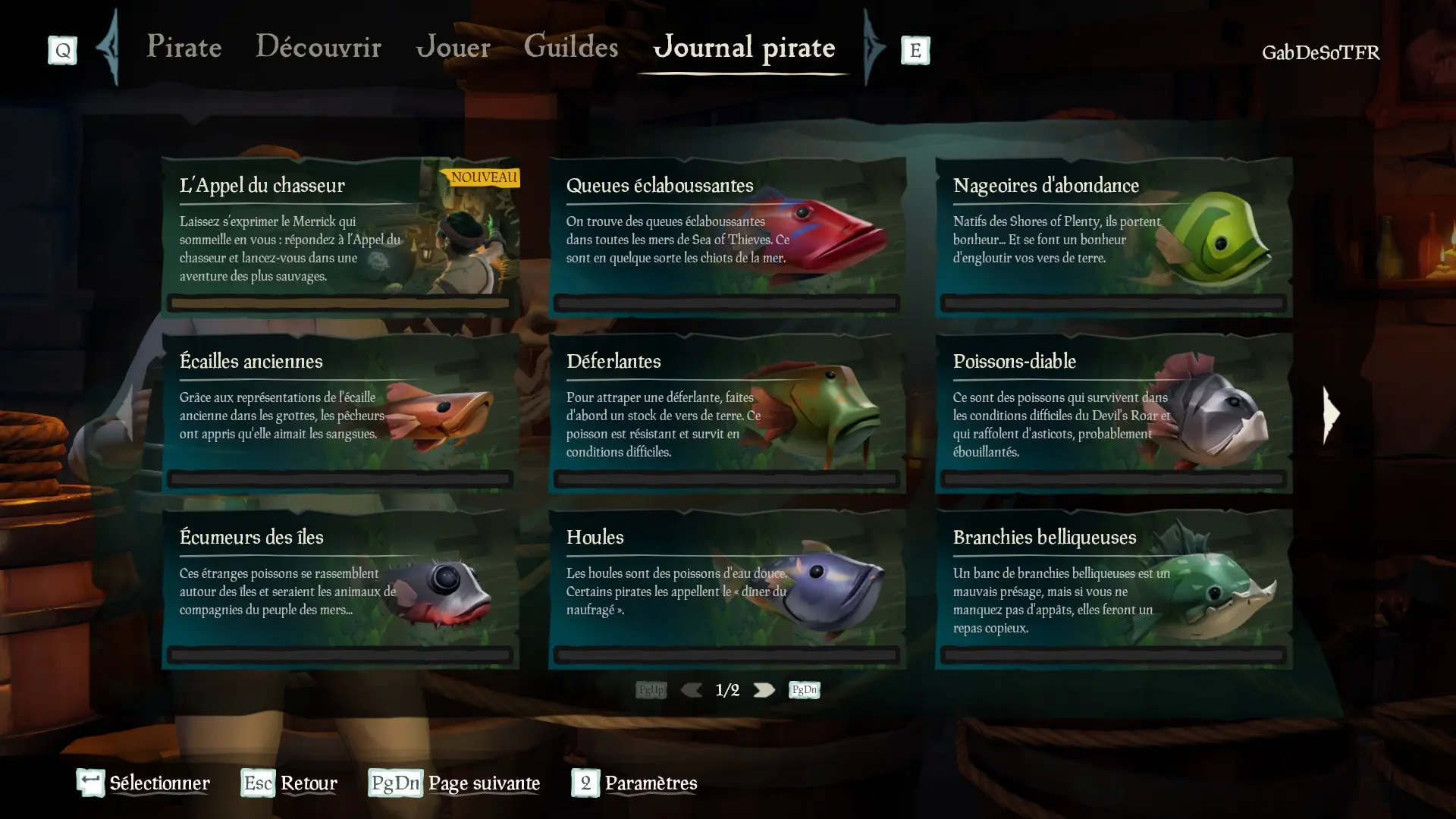 Liste des indices de la catégorie d'accomplissements de l'Appel du chasseur du profil pirate