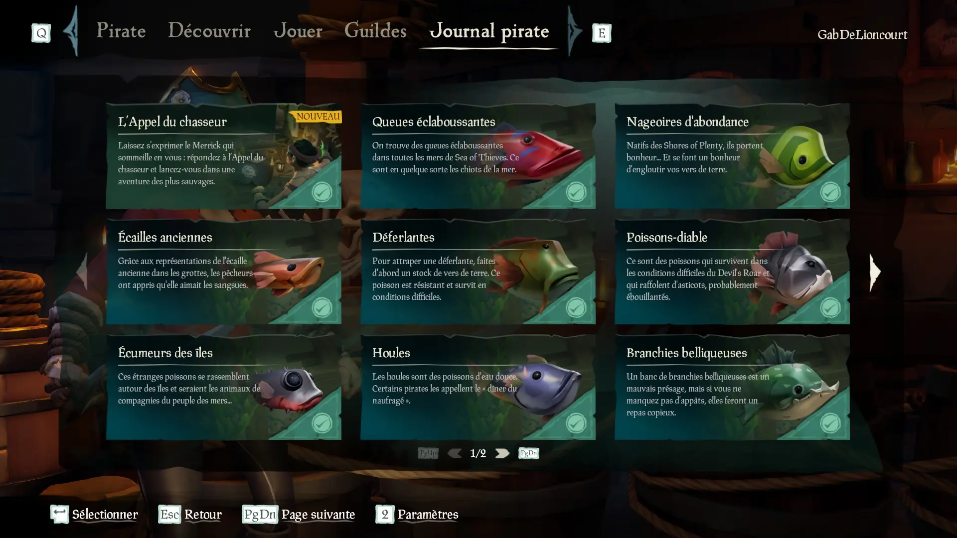 Capture d’un profil pirate complétiste pour l'Appel du chasseur